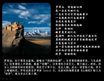 亲爱的金主大人